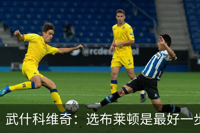 武什科维奇：选布莱顿是最好一步，这里擅长培养年轻球员